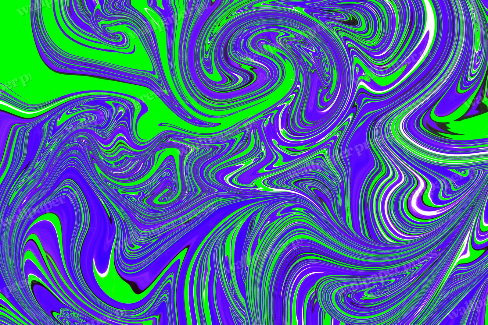 Green And Purple Harmony