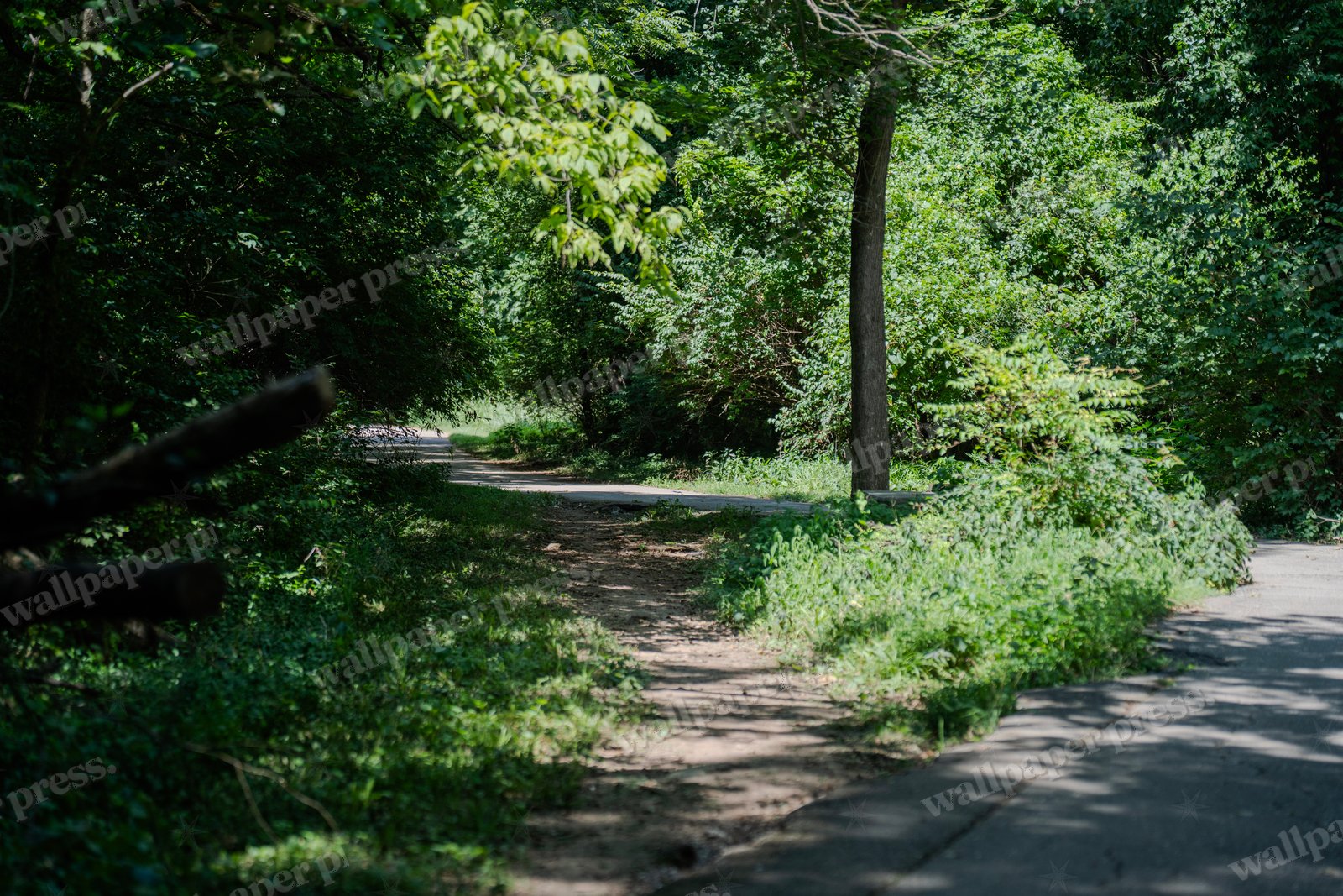 New Paths Arise