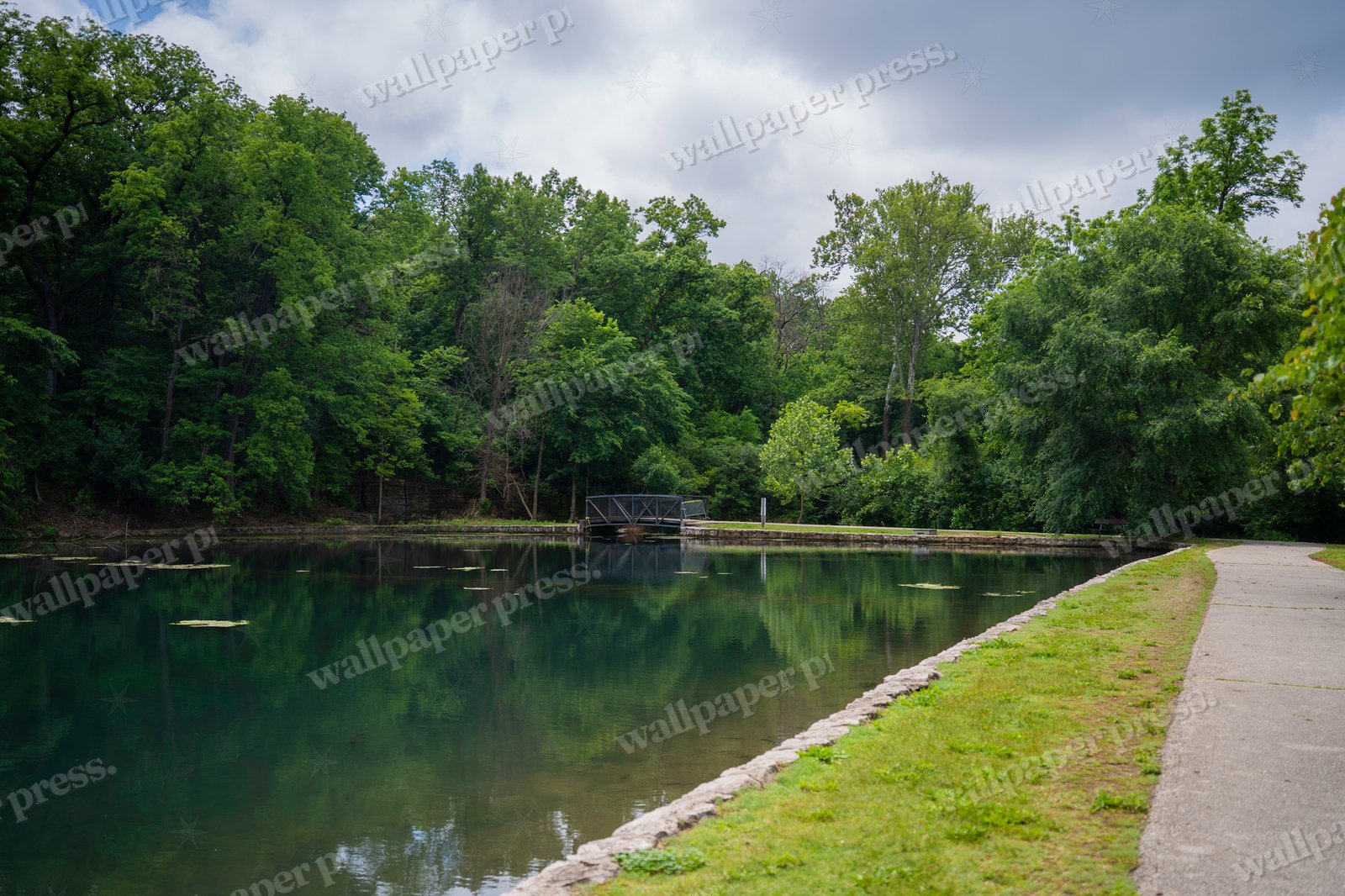 A Day In The Park