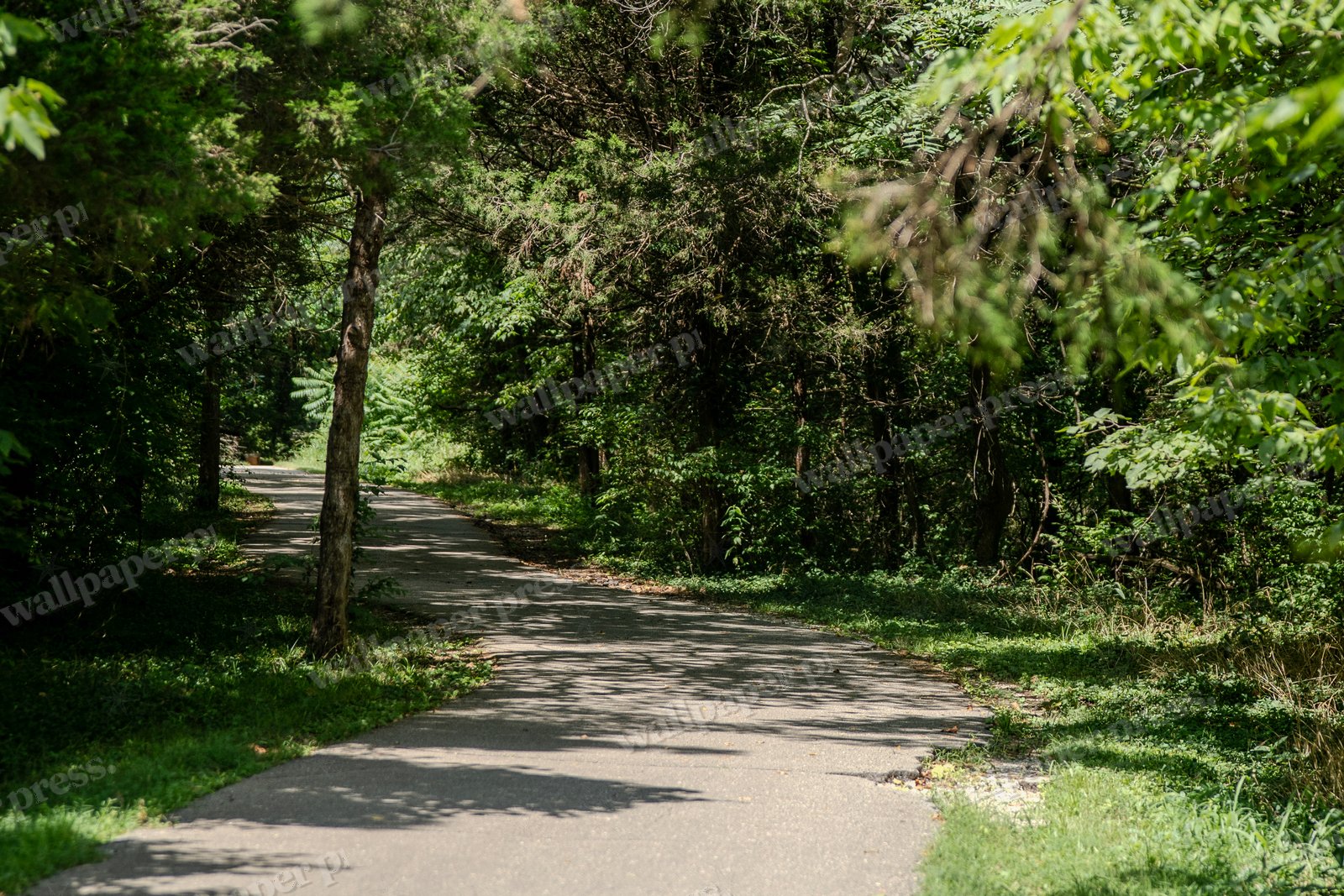 Peaceful Walking