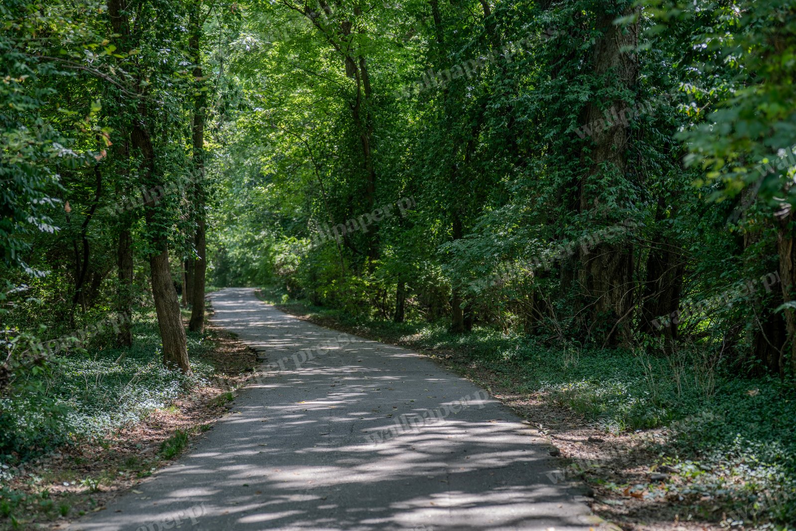 Travel The Path